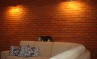 Płytki rustykalne - podświetlona ściana, kanapa, kot